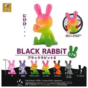 BLACKRABBiT6
