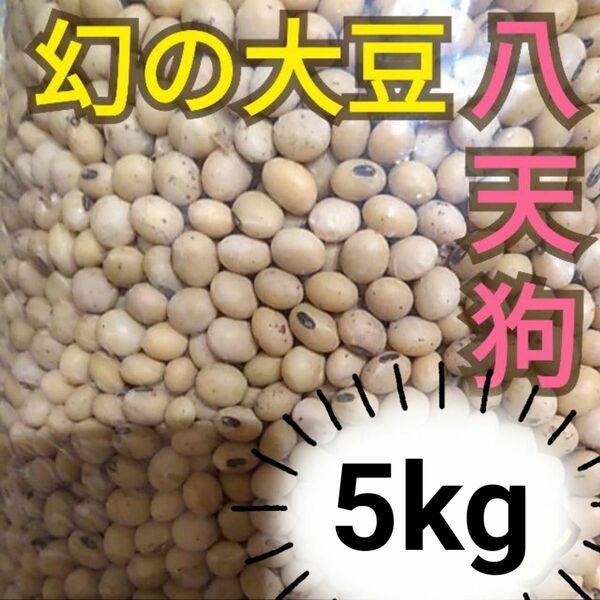 自然栽培　幻の大豆『八天狗』5kg 熊本県産