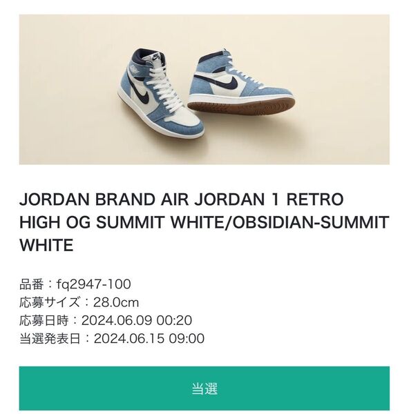 JORDAN BRAND AIR JORDAN 1 RETRO HIGH OG SUMMIT WHITE 28cm【新品未使用】