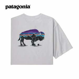 1000円スタート　パタゴニア patagonia Tシャツ　半袖　丸首　絵柄　背中ロゴ　コットン　男女兼用　XS-3XL　サイズ選択可能　TT255