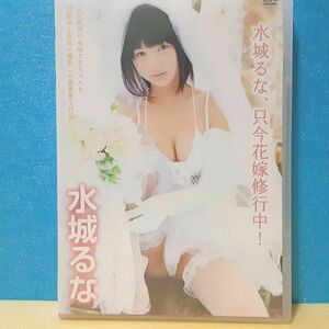 DVD 水城るな 只今花嫁修行中 グラビア ジュニア・アイドル イメージ 制服 レオタード 激レア 貴重 セル版