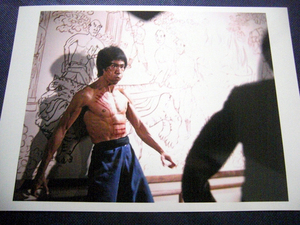 * blues * Lee * burn . Dragon /Museum extra-large color photograph #5