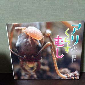 写真絵本 アリとくらすむし 写真・文 島田たく