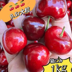 本日限定価格！常温便　アメリカンチェリーネコポス箱込み1kg 超大粒 9.5row ビング種 大粒　高評価　ポスト投函