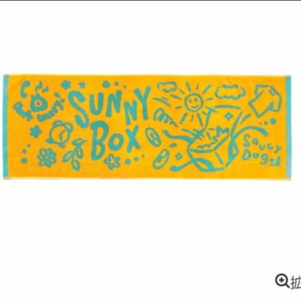 【完売商品】SUNNY BOX限定 Saucy Dog サウシードッグ グッズ タオル