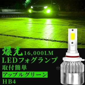 爆光 LED フォグランプ HB4 アップルグリーン フォグランプ 12v 24v フォグライト 送料無料 大人気