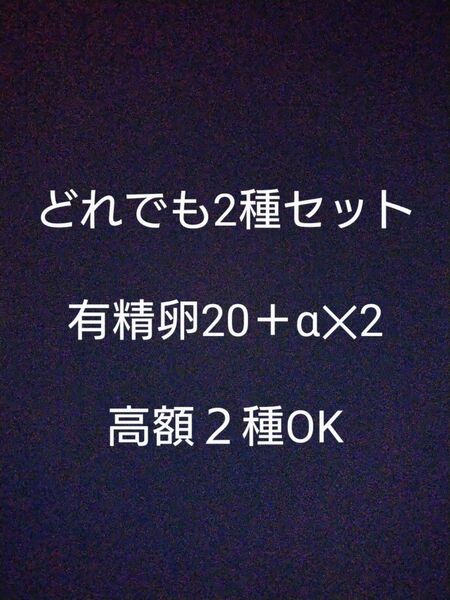 【珠メダカ】お買い得！深海 有精卵20＋α とりあえずお得なのでセットでどうぞ！ めだか