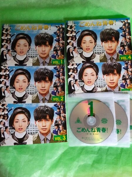 DVD ごめんね青春! 全巻 錦戸亮 満島ひかり