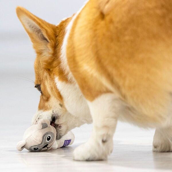 GiGwi 犬用おもちゃ ぬいぐるみ 音が出る アライグマ形