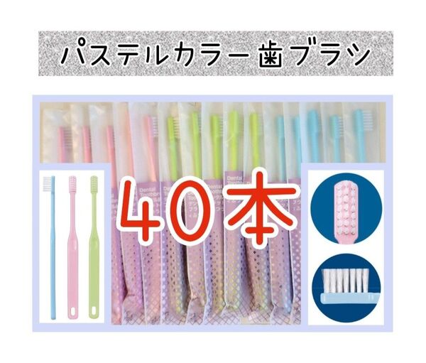 3色歯科医院専用歯ブラシ40本
