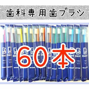 歯科専用歯ブラシ60本