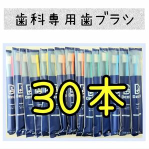 歯科専用歯ブラシ30本