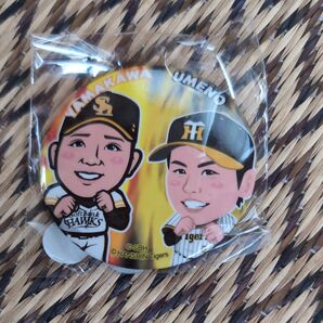 交流戦 HAWKS阪神コラボ 缶バッジ