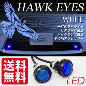 SEEK LED スポットライト ホークアイ イーグルアイ カラーレンズ 青 ブルー デイライト 国内 点灯確認 検査後出荷 ネコポス 送料無料