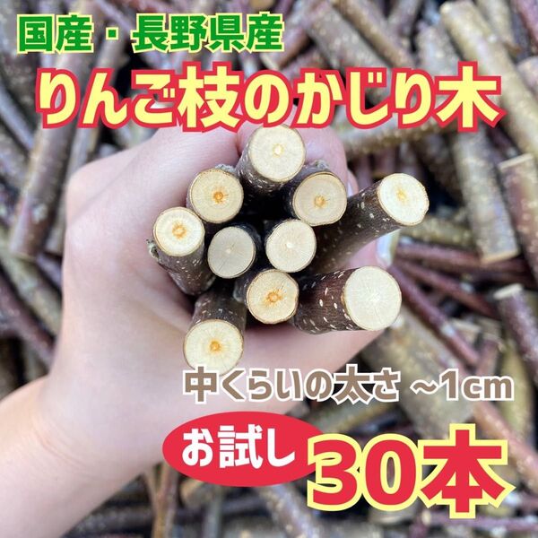 かじり木 りんごの枝 30本