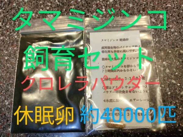 送金無料！めだか自然派　タマミジンコ飼育セット　クロレラパウダー　乾燥卵　取説付　約40000匹相当付　めだか　グッピー　鯉　餌