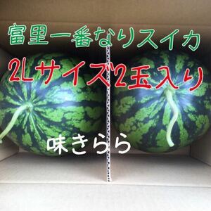 富里西瓜味きらら2Lサイズ2玉入り