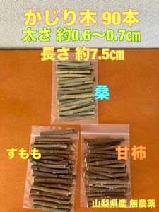 かじり木　小枝90本　すもも　甘柿　桑　山梨県産　無農薬　ハムスター