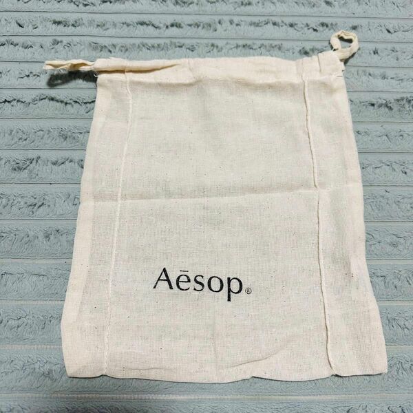 【新品】Aesop保存袋/ショップ袋/25×22cm