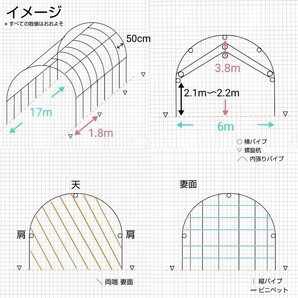 ビニールハウス 背高 φ25 6m x 15m パイプハウス ハウス メダカ 家庭菜園 植物 観葉植物 鯉 錦鯉 金魚 魚 温室 飼育 菜園 小屋 