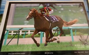 (未開封)オルフェーヴル 第53回宝塚記念 写真A4サイズ 優駿 新世紀の名馬ベスト100 競馬 JRA ウマ娘