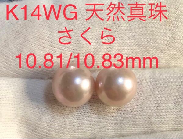 K14WG 天然真珠　さくら色　ピアス　10.81/10.83mmK14WG 天然真珠　さくら色　ピアス