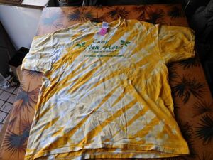 T-shits Tシャツ Rno3 GILDAN 2EG/2TG/2XL CAMP NEW HOPE DELAWARE HOSPICE FOR CHILDREN　 米軍基地上着 古着　used AIRFORCE