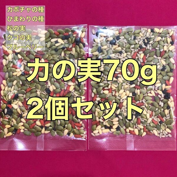お値下げ不可 力の実70g×2 ナッツフルーツシードミックス松クコひまわりカボチャブルーベリー