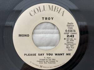 ＜甘茶ソウル!!＞ Troy - Please Say You Want Me/Mono/stereo
