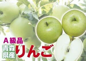 【A級品・王林・10kg（10キロ） ダンボール 詰】青森県産 青りんご