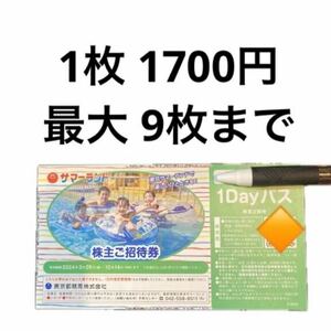 サマーランド 株主優待 フリーパス 1〜9枚 通期 A