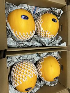  postage included Kumamoto production yellow King melon 5L 2 sphere ×2=4 sphere 6/5 shipping expectation home use box included 9.2k