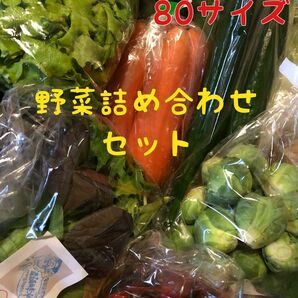 ※明日から値上げ　愛知県西尾市産　野菜の詰め合わせ　80サイズ
