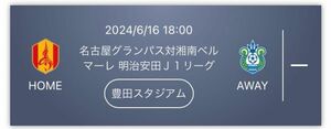 指定席1名 6/16 18時 名古屋グランパス 湘南ベルマーレ 豊田スタジアム