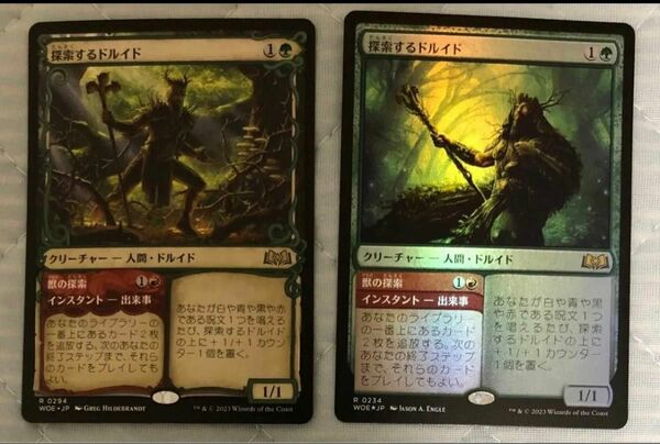 美品　MTG 探索するドルイド　WOE ショーケース　通常　２枚セット　エルドレインの森