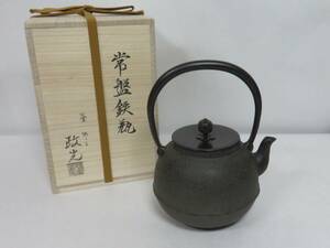 < чайная посуда Sakura >. запись металлический чайник . земля . свет [ единая стоимость доставки 972 иен ~* несколько . отправка тоже 972 иен ~]