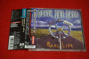  rare![ records out of production '03 year work ] DRIVE. SHE SAID / Real Life beautiful . law melody as* hard with belt 