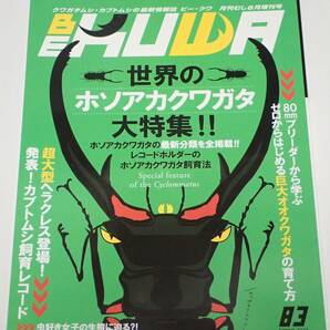 BE KUWA ビークワ No.83■世界のホソアカクワガタ大特集｜最新分類を全掲載／カブトムシ飼育レコード／虫好き女子の生態に迫る