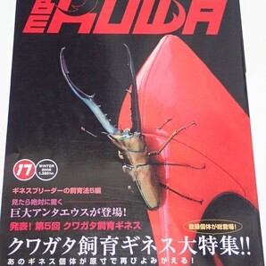 BE KUWA ビークワ No.17■クワガタ飼育ギネス大特集｜パラワン・ウォーレス・アルケス・カウピ・ミラビリスの飼育 沖永良部島採集