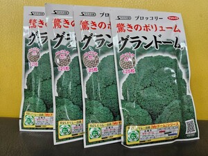 ブロッコリー種　グランドーム　125粒×4袋　未開封有効期限切れ