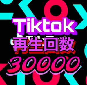 【おまけ 30000 tiktok 再生回数 増加】ティックトック 自動ツール　追加　拡散　宣伝　投稿 動画