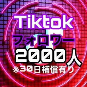 【おまけ 2000 Tiktok フォロワー数 増加】ティックトック Youtube 自動ツール フォロワー follower 宣伝 収益化