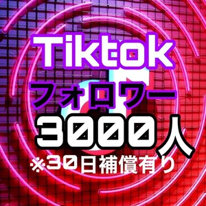 【おまけ 3000 Tiktok フォロワー数 増加】ティックトック Youtube 自動ツール フォロワー follower 宣伝 収益化