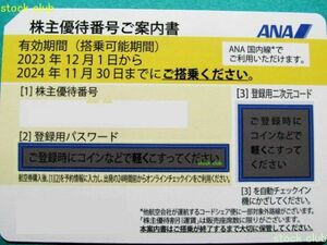 ANA 全日空 株主優待券 １枚 メッセージ通知可　有効期限2024年11月30日