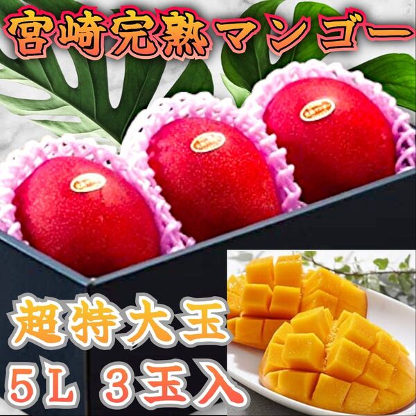 赤秀品5L 超特大玉【宮崎県産 完熟マンゴー】3玉 最大級の 超大玉5L玉 父の日 コンペ賞品 誕生日祝 還暦祝 新築祝い 御供
