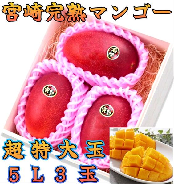 厳選 5L 超特大玉【宮崎県産 完熟マンゴー】3玉 最大級の 超大玉5L玉 コンペ賞品 誕生日祝 還暦祝 新築祝 お中元 御供え