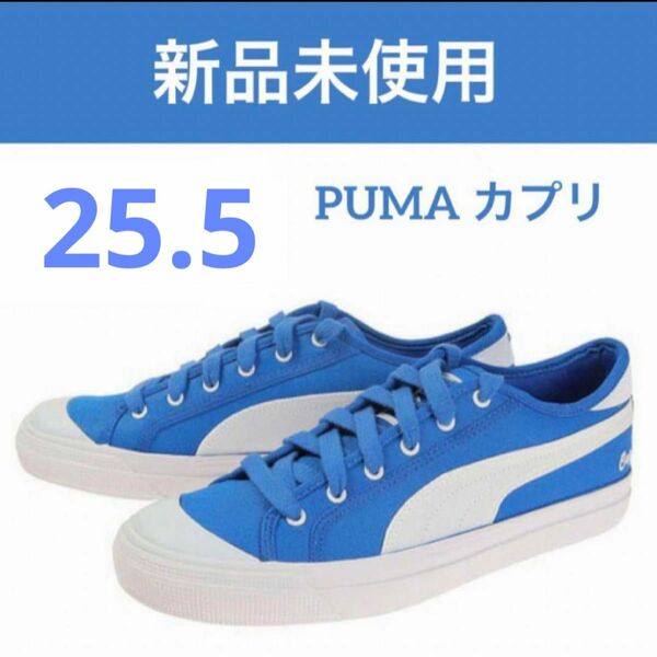 25.5 プーマ　PUMA メンズ　スニーカー カプリ RT 38026502