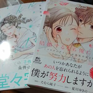 結婚するなら俺にしろ 2/結婚は予定日のあと 下巻