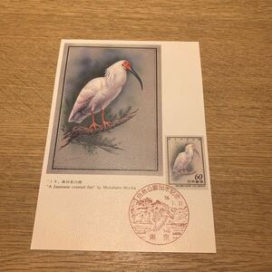 マキシマムカード 自然公園50年記念郵便切手　昭和56年発行