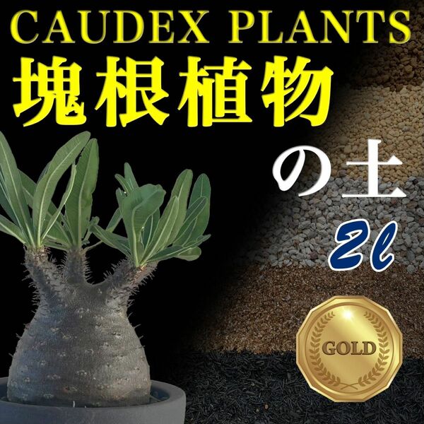 塊根植物の土Gold2㍑培養土　パキポディウム・アデニウム等　グラキリス